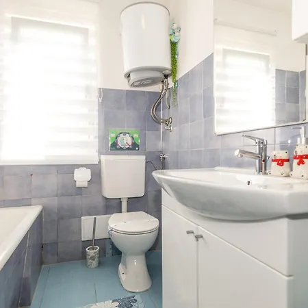 Pet Friendly In Appartement